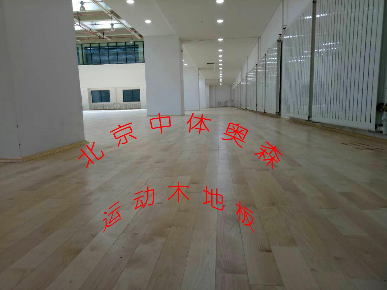 A塘(tang)沽(gu)生(sheng)態(tai)體(ti)育館__副(fu)本(1).jpg