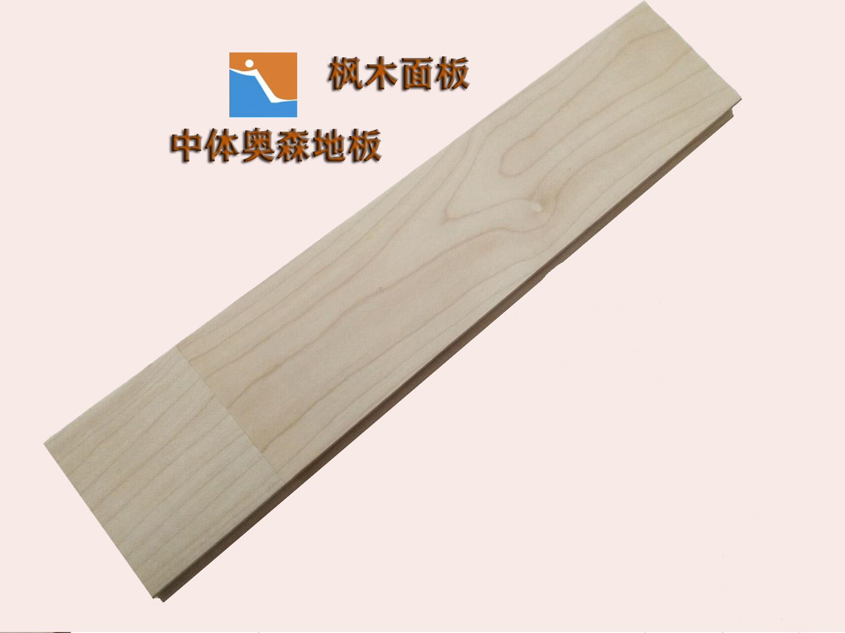 網站(zhan).jpg